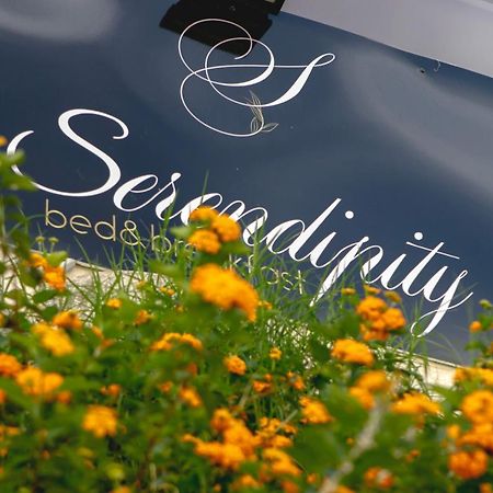 Serendipity B&B Mesina Exterior foto