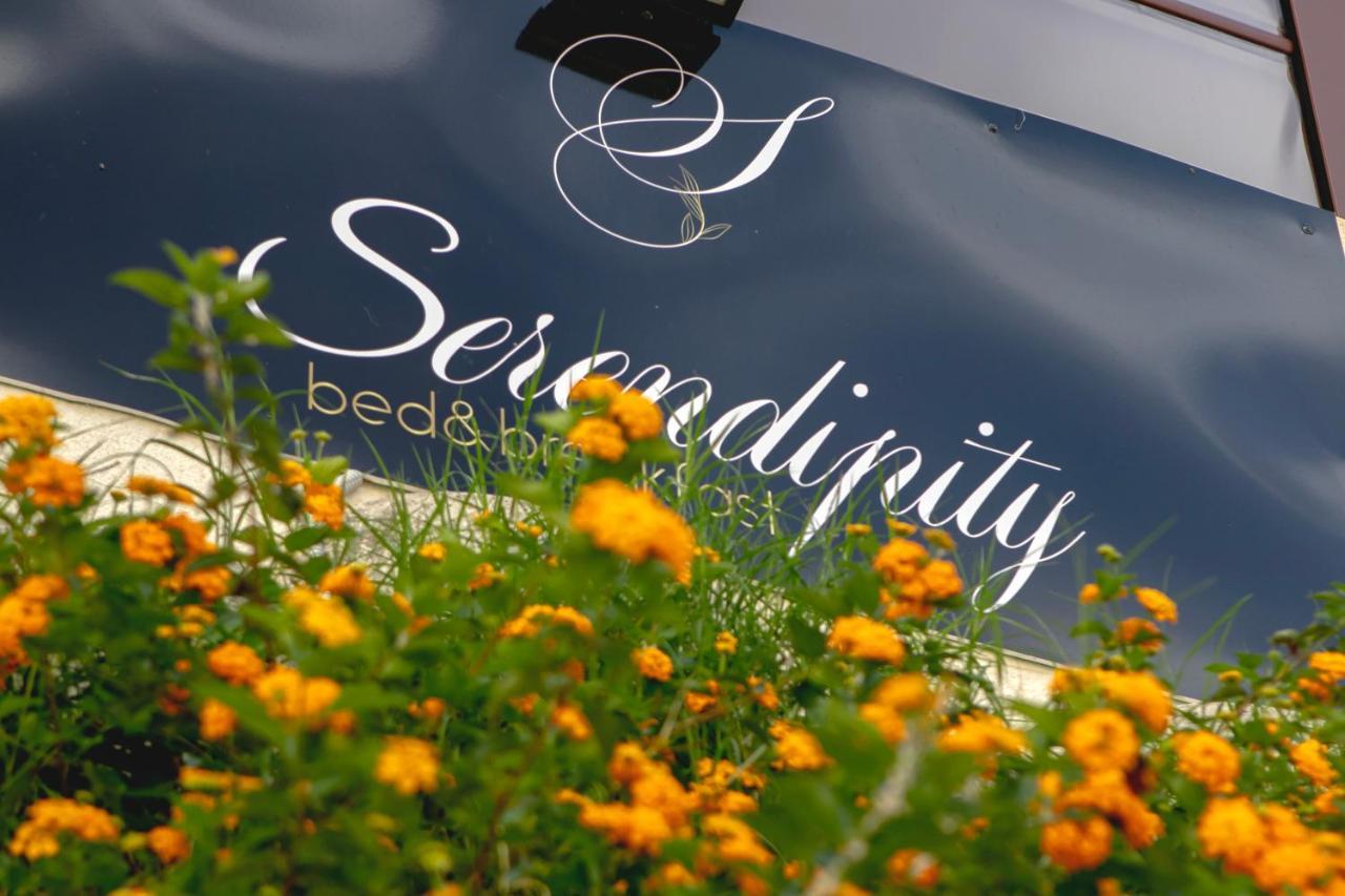 Serendipity B&B Mesina Exterior foto